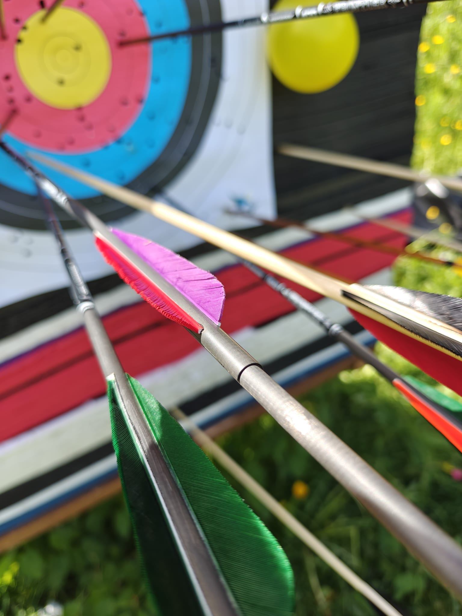 Tir à l'arc, Saison, Robin, 2025, STA3D