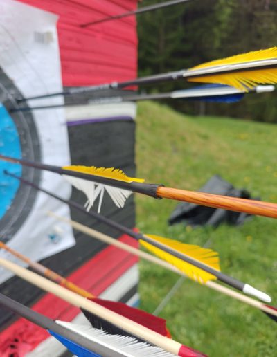 Tir à l'arc, Saison, Robin, 2025, STA3D