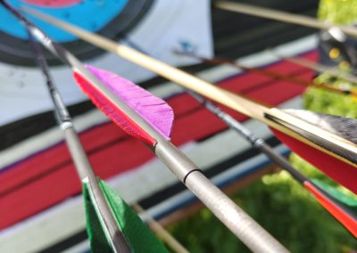 Tir à l'arc, Saison, Robin, 2025, STA3D